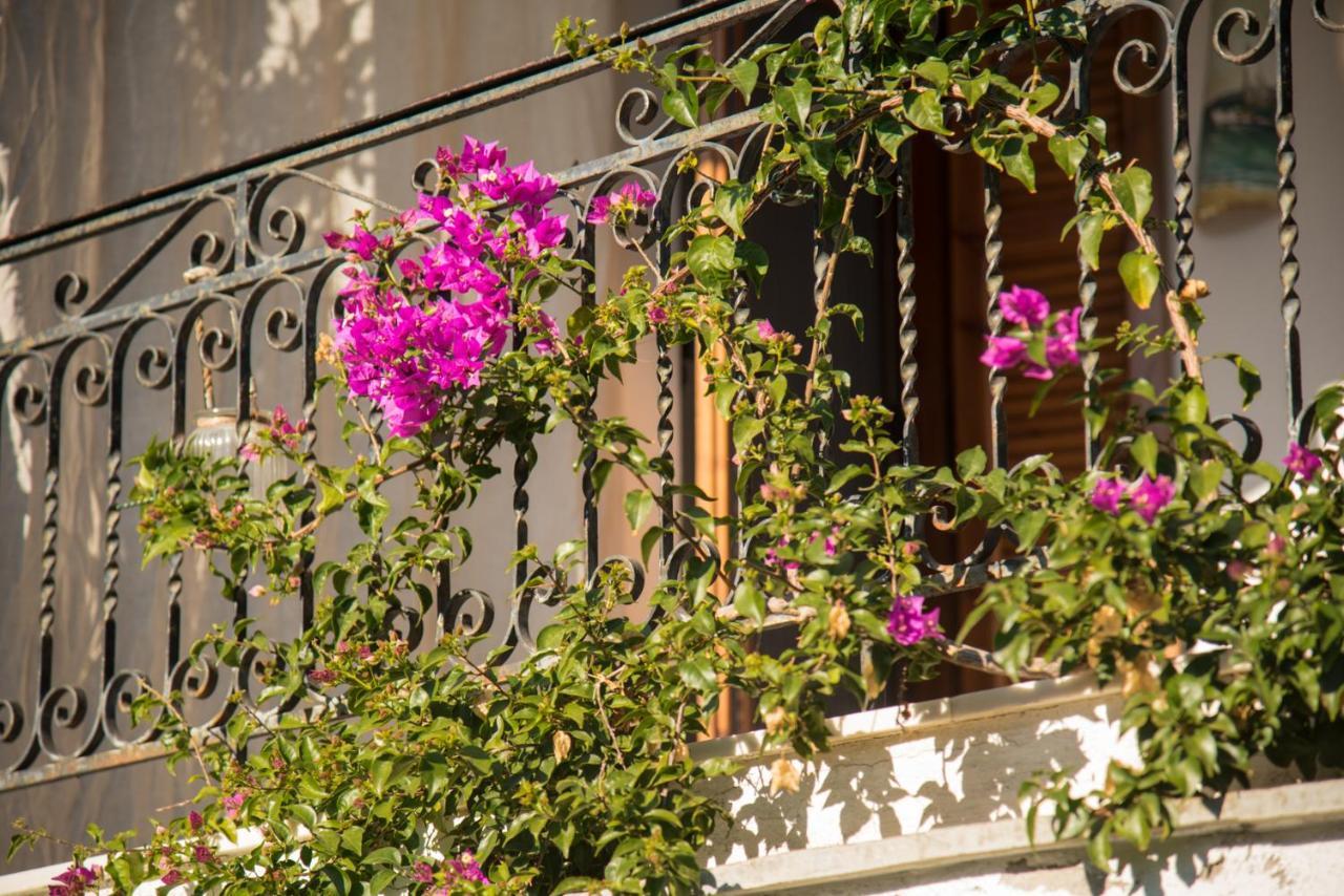 Seasidelongo Houses 1 Min From The Beach Of Nikiti Екстериор снимка
